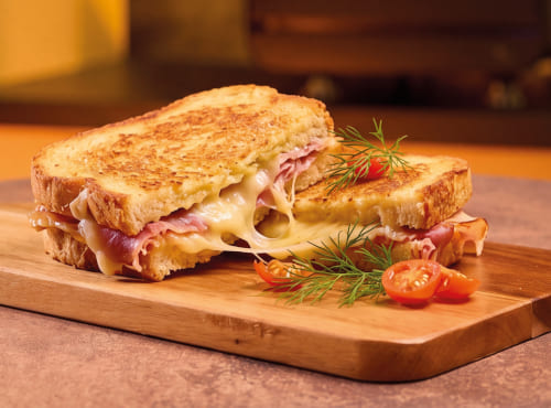 eazypanini_toast.jpg eazypanini_toast.jpg